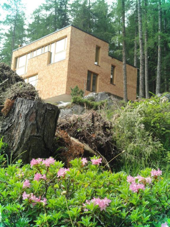 Gradonna Mountain Resort Chalets & Hotel Kals am Grossglockner Ngoại thất bức ảnh